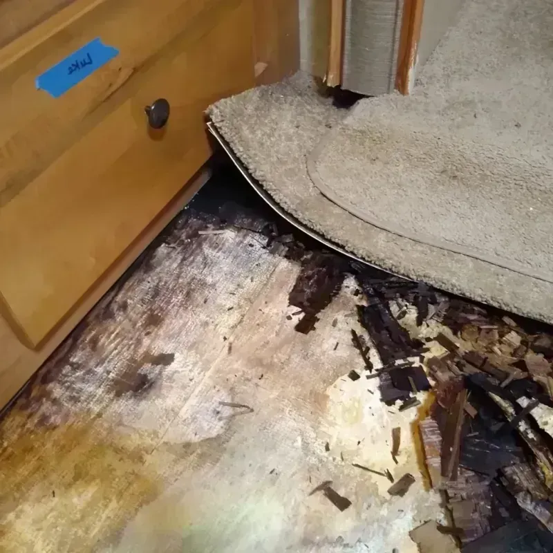 Wood Floor Water Damage in Lakota, ND